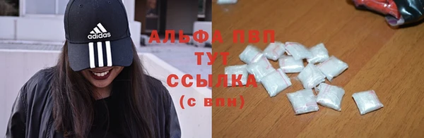 прущий лед Алзамай