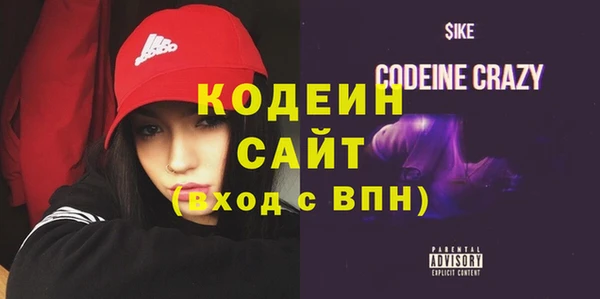 прущий лед Алзамай