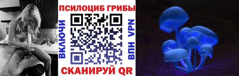 Галлюциногенные грибы MAGIC MUSHROOMS  Чердынь 